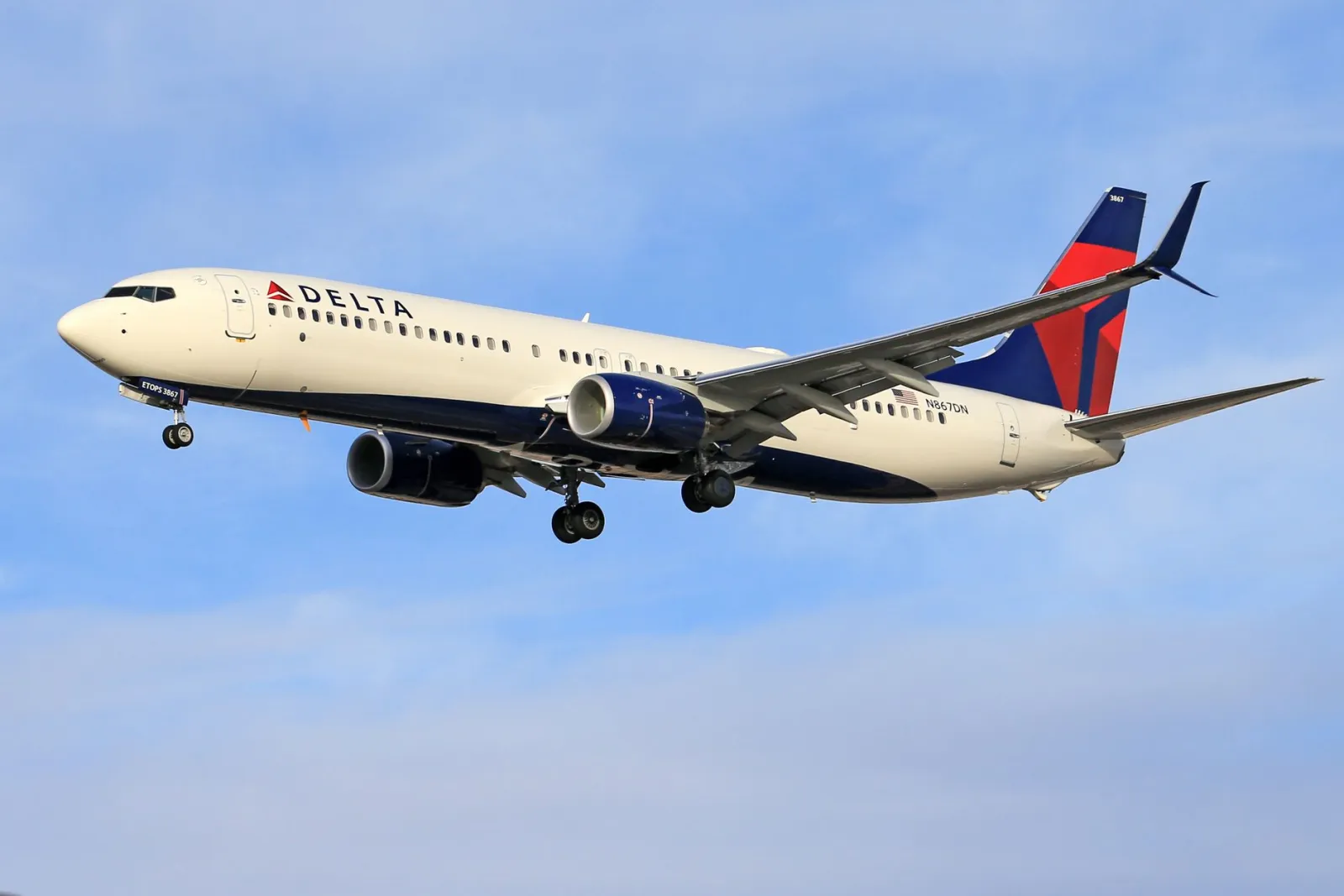 Come portare il gatto in aereo in cabina o stiva?