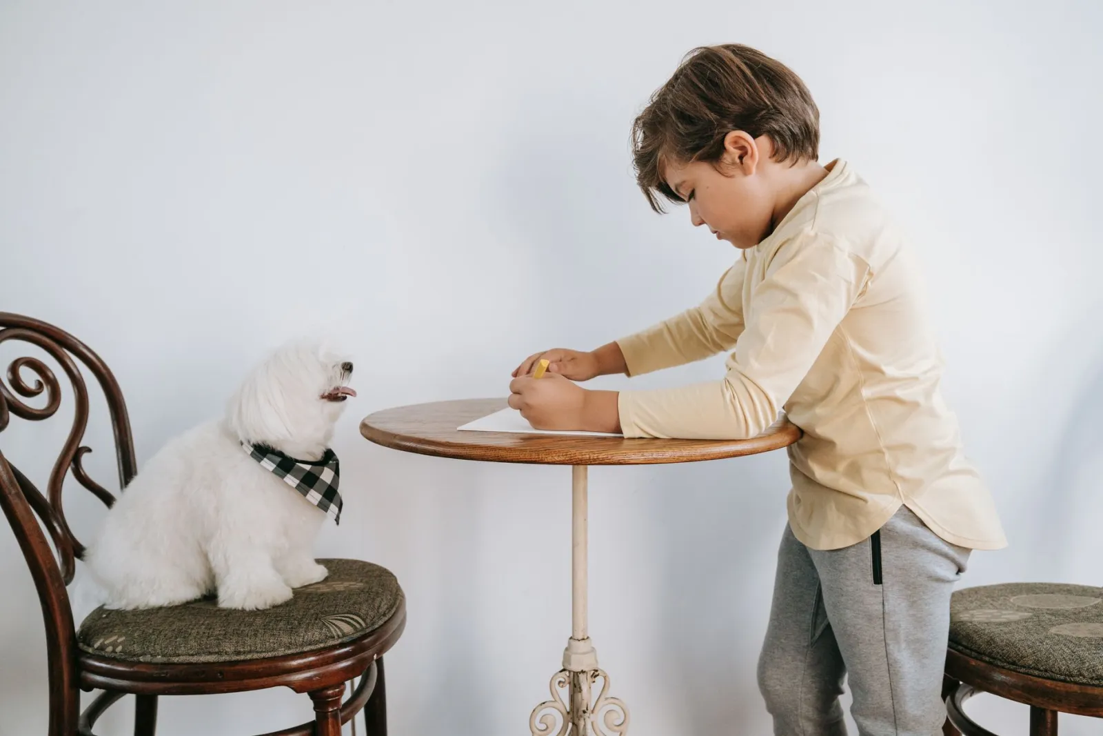 bambino che disegna un cane