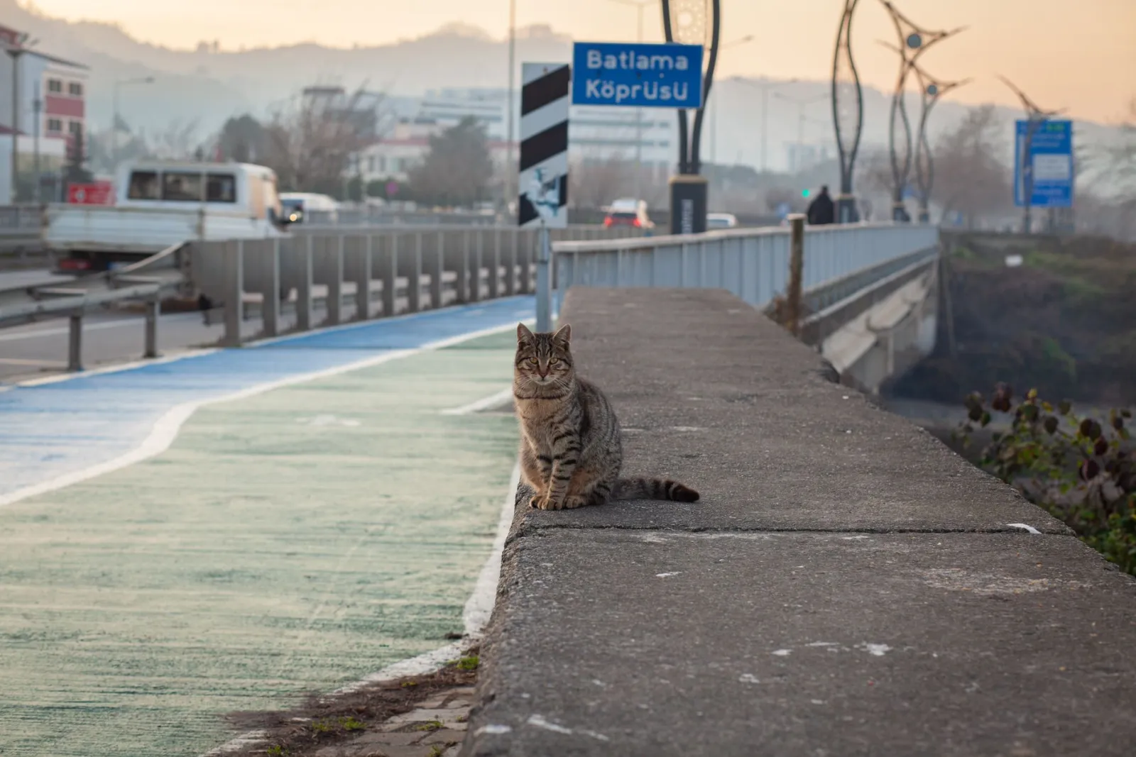 Come finisce Come un gatto in tangenziale 2?