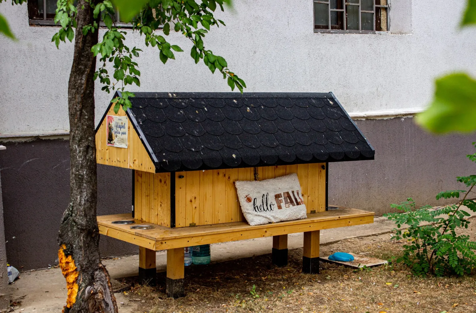 Cuccia fai da te